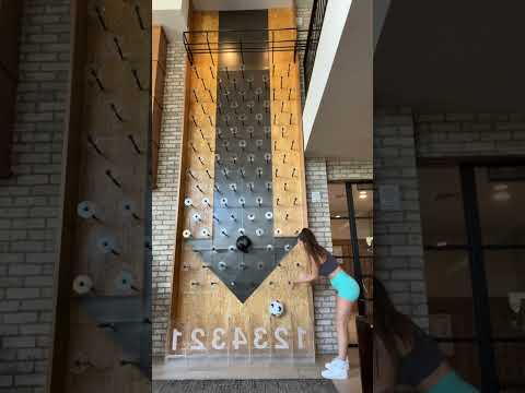 Giant Plinko wall