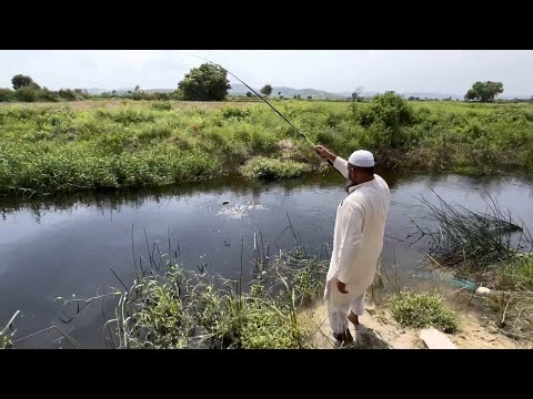 Unique Fishing |Talapia Fishing bait |talapia Fishing ka shikar kaise kare |live bait