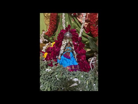 Day 7 suvasini Pooja