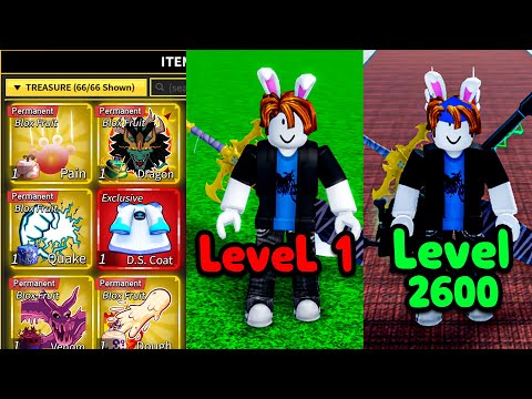 Blox Fruits Level 1 - 2600 Noob to Pro, But I Use EVERY PERMANENT FRUIT... [MOVIE]
