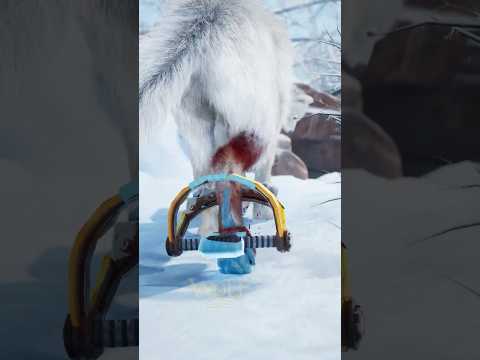 Trapped and Frozen: Wolf Mom Loses Her ... #wolfgame #wolf #animals #slg