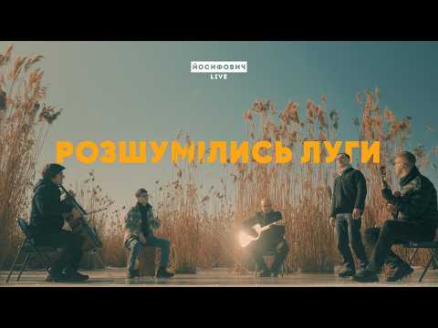 Розшумілись луги - ЙОСИФОВИЧ LIVE