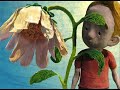 The Biggest Flower in the World