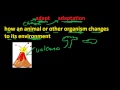 Human Adaptation and Environmental Changes