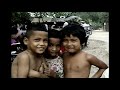Environmental and Cultural Issues in Southeast Asia