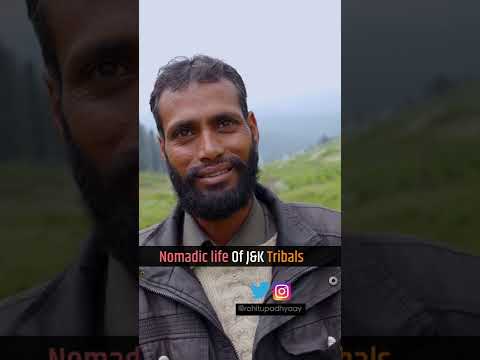 Lifestyle of Bakarwal tribals | Kashmir