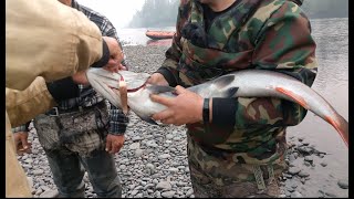 видео