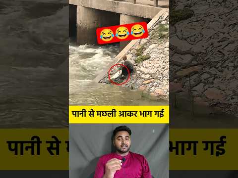 पानी से मछली आकर भाग गई 😂 #shorts #water #fish #viralfish #funny #viralshorts #viralvideo