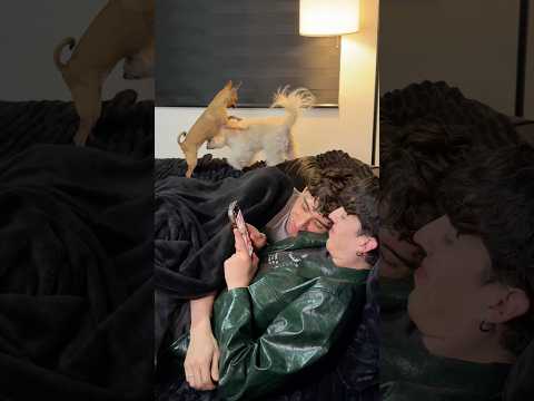 Todo pasó en menos de un minuto 🫠