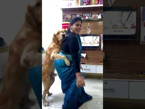 #jail star Roshan #Rohi ke song per #banaya viral rea #kutte Ne dikhaya #apna jalva please ek like l