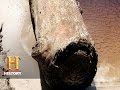 Understanding Historical Logs and Their Value