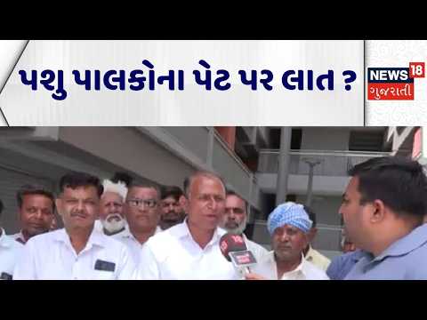 Dehgam Cattle Breeder | પશુ પાલકોના પેટ પર લાત ? ।  Gandhinagar | News 18 Gujarati