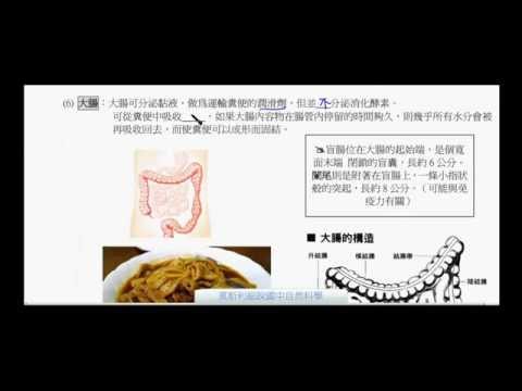 國一生物_消化器官_大腸【莫斯利國中自然科學】【國中生物