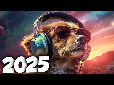 AS MELHORES MÚSICAS ELETRÔNICAS DE 2025 ⚡️ MÚSICAS ELETRÔNICAS ⚡️ NA BALADA ⚡️ALOK, DAVID GUETTA MIX