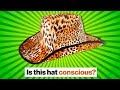 Exploring Consciousness and Panpsychism
