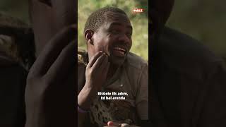 Kızgın arılar saldırıyor, en tehlikeli bal avı #shorts #DMAX #edstafford