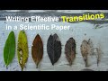 Using Transitions in Writing