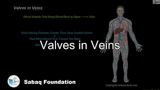 Valves in Veins