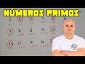 Understanding Prime Numbers