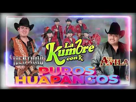 Los Avila, Conjunto Nube, Grupo Legitimo🐎 Puras Huapangos Norteñas Mega Mix