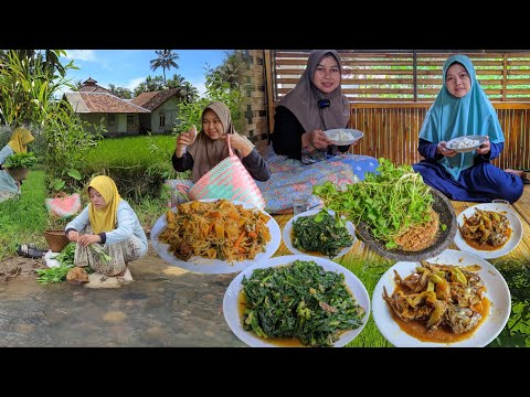 Pulang Nyamungan, Metik Genjer Muda dan Kurawet Galeung Di Sawah, Masak Nikmat Bareng Ua Nani