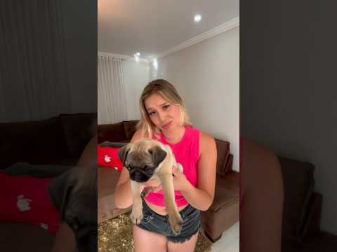 OLHA OQUE EU ACHEI!🐶