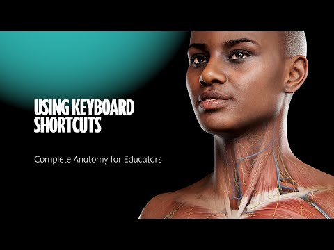 Complete Anatomy for Educators - 08 Using keyboard shortcuts