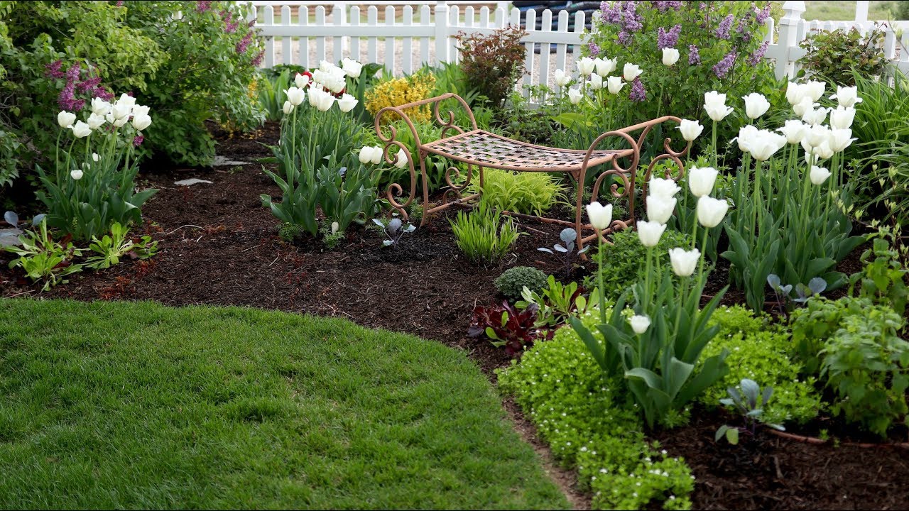 Spring Planting, Ant Control & Veggie Garden Update!
