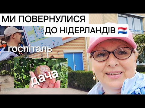 МИ ПОВЕРНУЛИСЯ В НІДЕРЛАНДИ🇳🇱 Наші будні ЩО НА ДАЧІ🏡 | #Нідерланди #повернення #інжир