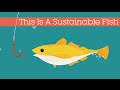 Exploring Sustainable Fish Practices