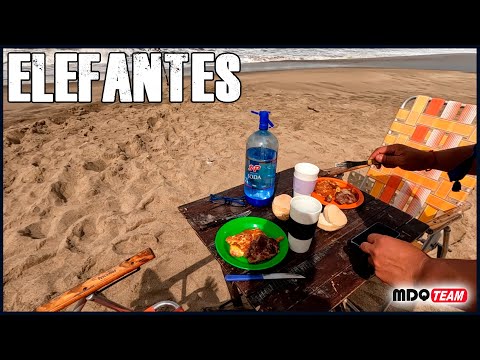 PESCA EN LA PLAYA NOS SORPRENDEMOS CON ESTO