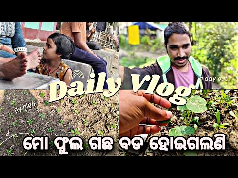 ମୋ ଫୁଲ ଗଛ ବଡ ହୋଇଗଲଣି 😍😍 @Luckyjujuvlogs1m