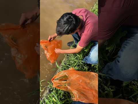 Một ngày bình yên. #huytv #vohoanghuy #teambds30s #cuocsongmientay #phongsanh