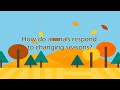 Animal Responses to Changing Seasons