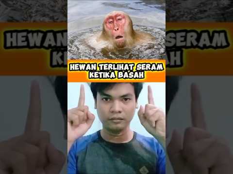 HEWAN TERLIHAT SERAM KETIKA BASAH