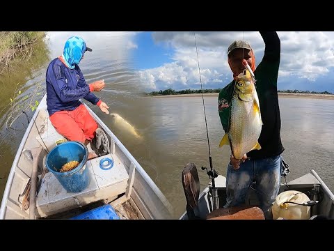 Técnica de pesca artesanal y con señuelos Popper y Minow de 14 cm en el Río meta !