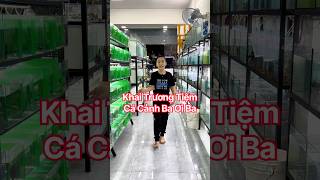 Khai Trương Tiệm Cá Cảnh Ba Ơi Ba , nhiều quà tặng hấp dẫn . #bettasales #baoiba #cacanh