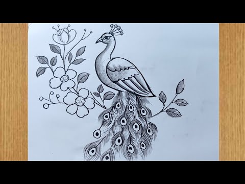 how to draw a peacock easy pencil sketch,how to draw peacock step by step,easy peacock drawing,