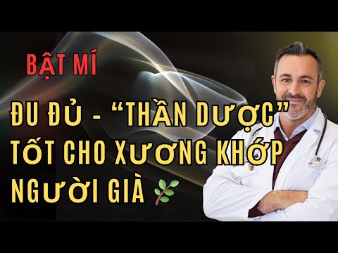 Đu Đủ – “Thần Dược” Tốt Cho Xương Khớp Người Già 🌿