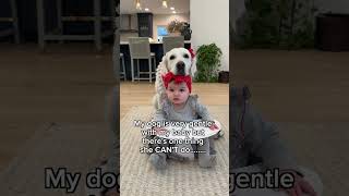 One thing our Dog CAN'T do...