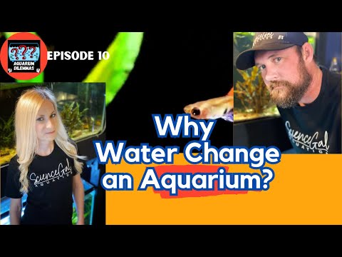 Why Water Change an Aquarium? Aquarium Dilemmas Po Why is Water-Changing an Aquarium so necessary? Join us for this week's episode of Aquarium Dilemmas