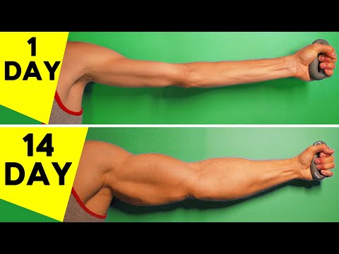 🔥 Only 5 Exercises To Replace Gym | Workout at Home