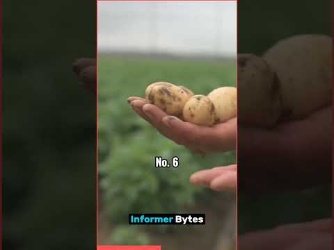 10 Mind Blowing Facts about Fruits #part1 #ytshorts