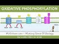 Aerobic Respiration Concepts