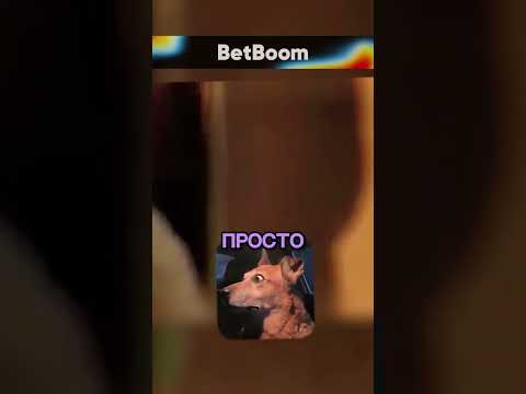 Захватывающая концовка 😲 Жёсткая карма?