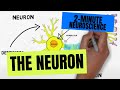 Understanding Neurons