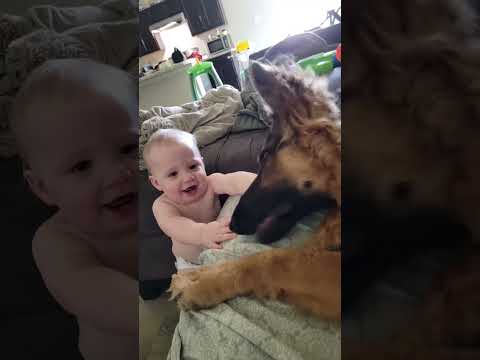 #pov #youtube  #fyp #fypシ #funny #foryoupage