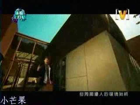 bu de bu ai 不得不爱