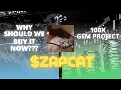 ZAPCAT: Could This Be the Next 100X Gem Project! Don’t Miss Its Huge Potential!