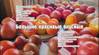 Большие, красивые, вкусные: дегустация индетерминантных сортов томатов. (Часть 4)